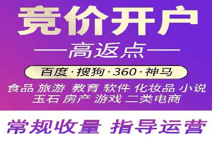 行业领先SEM托管代运营案例
