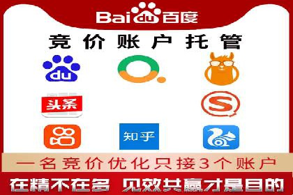 某电商平台的SEM代运营策略解析